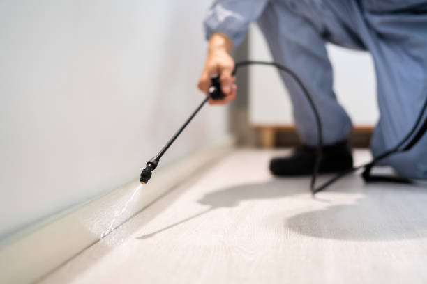 Best Pest Prevention Services  in Pigeon, MI