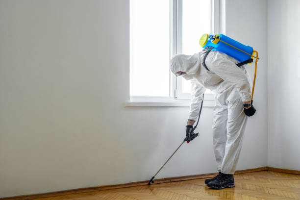 Best Wildlife Control Services  in Pigeon, MI