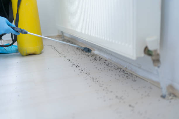 Best Mosquito Control Services  in Pigeon, MI