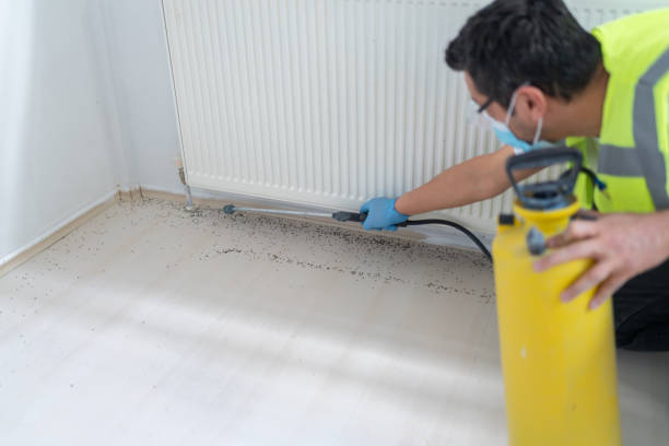 Best Affordable Exterminators  in Pigeon, MI