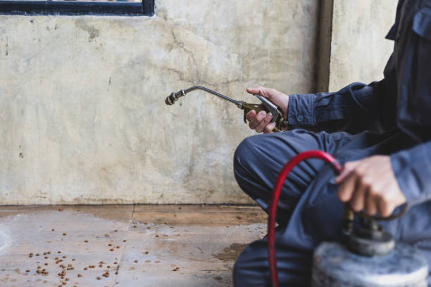 Best Affordable Pest Control Services  in Pigeon, MI