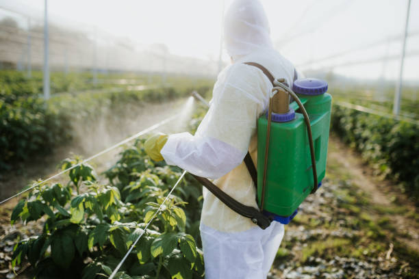 Best Exterminator Services  in Pigeon, MI